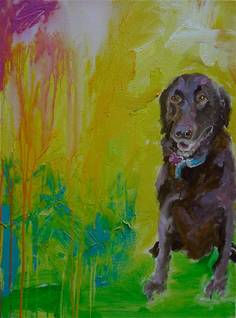 Pet Portrait