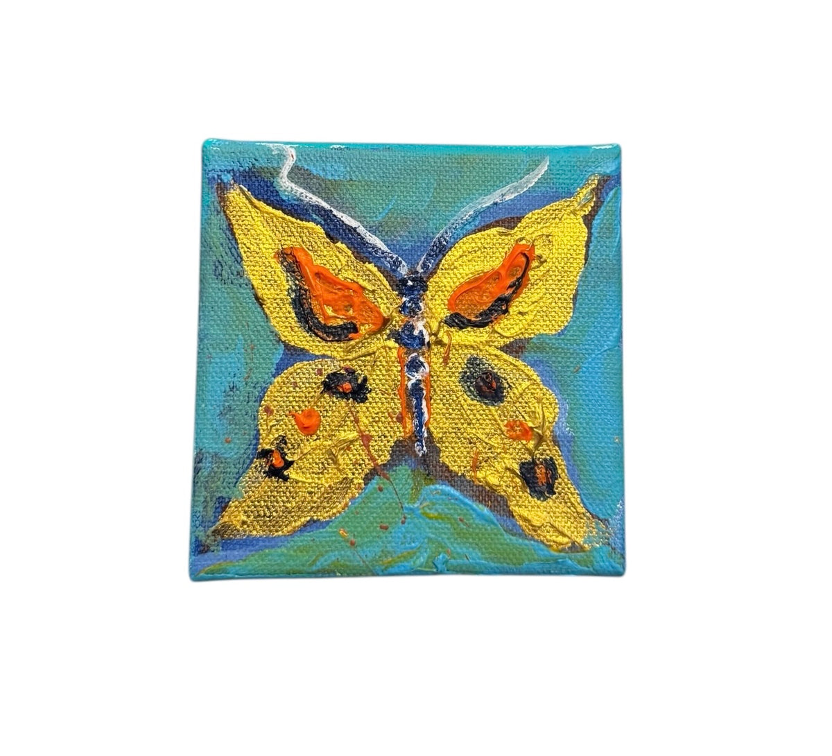 Butterfly, 4x4 inch small original painting by Tracee Gentry Matthews