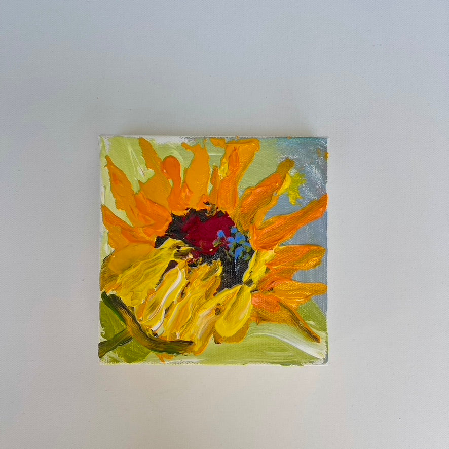 Colorful Sunflower