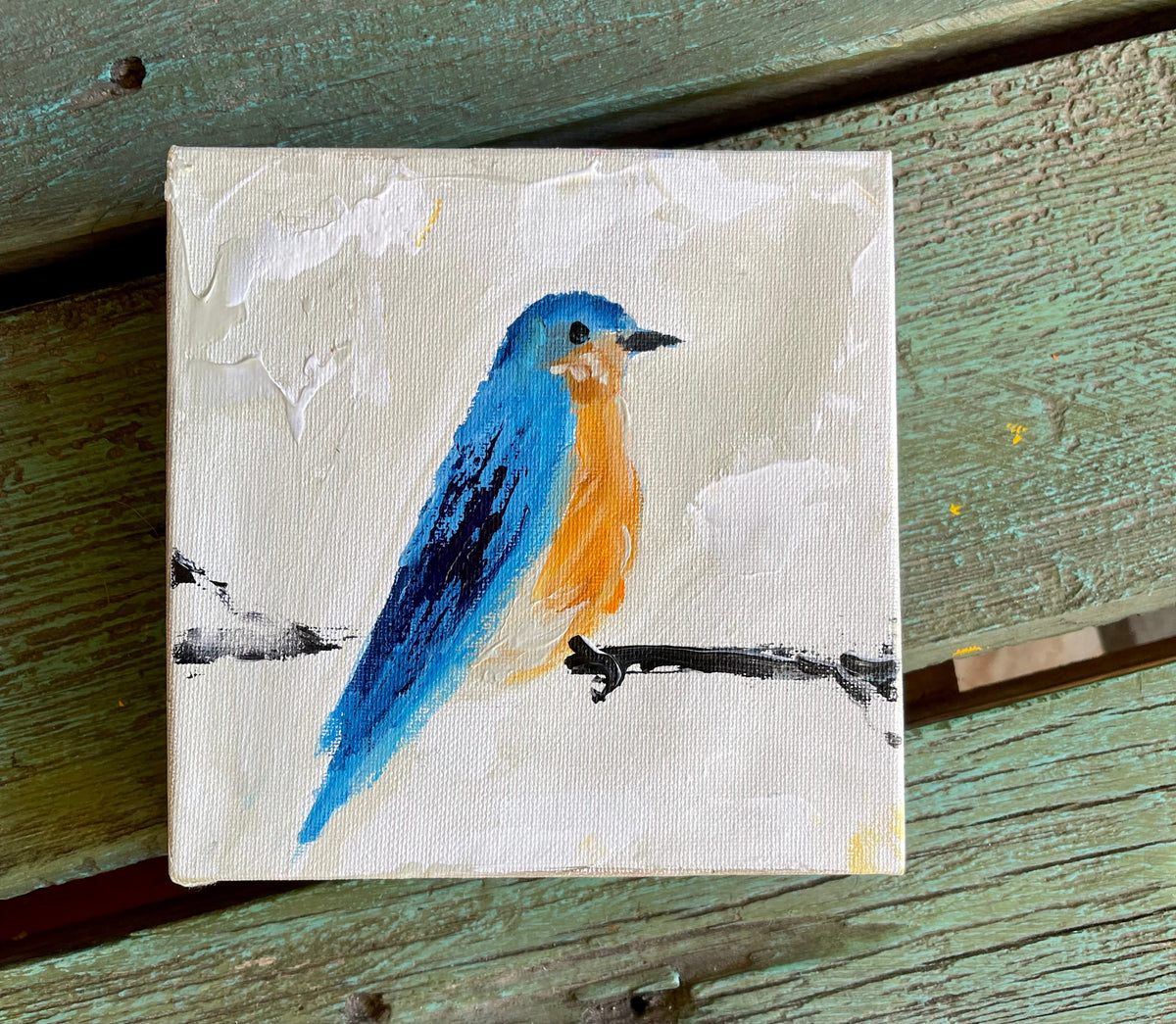 Bluebird on White
