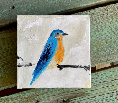 Bluebird on White