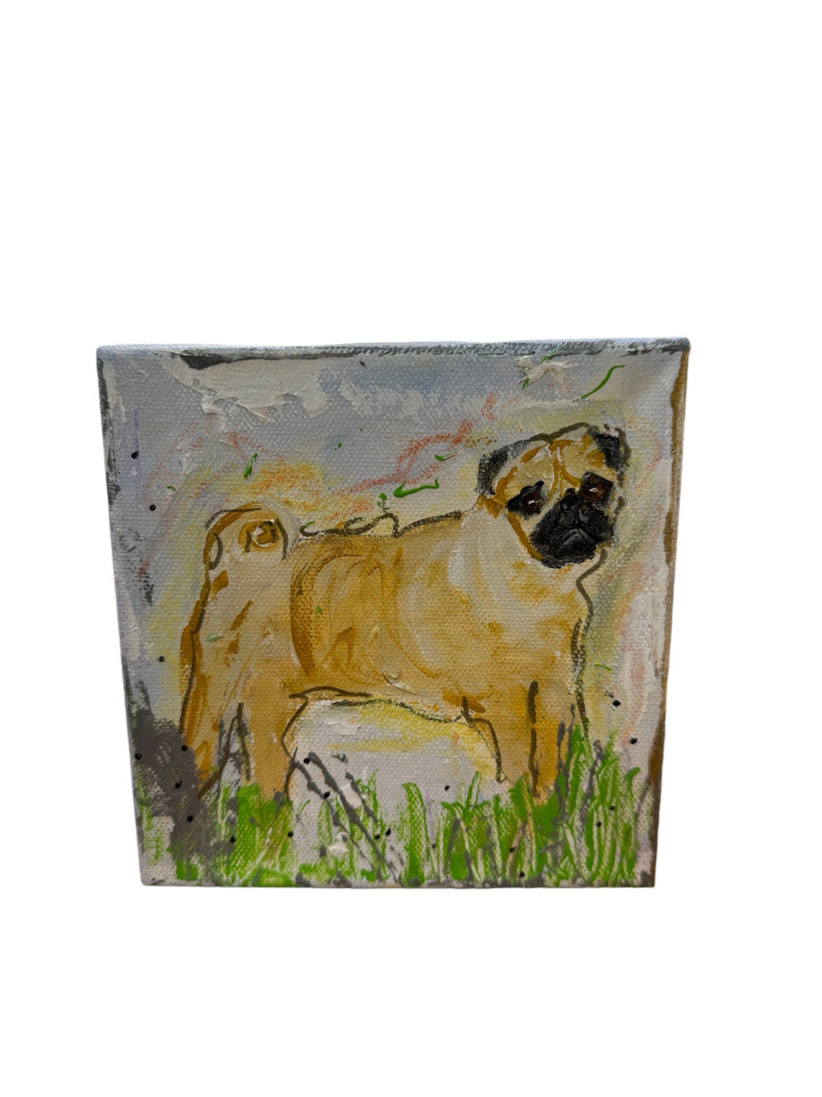 Pugs Rule the World