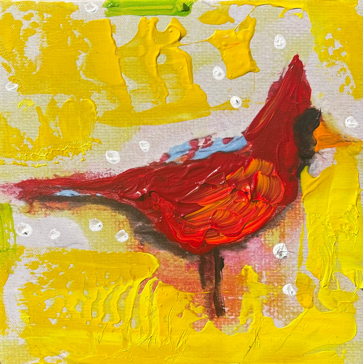 Cardinal, 6x6 inch canvas print with hand-added paint by Tracee Gentry Matthews